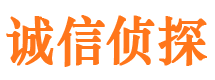 临清调查事务所